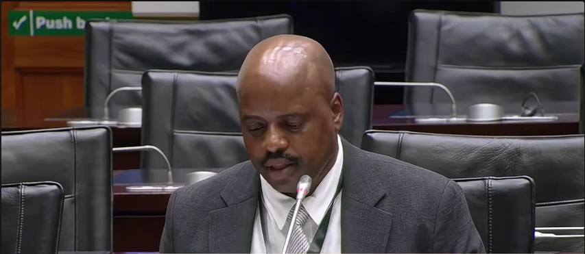 Julius Mkhwanazi appears before Parliament’s Ad Hoc Committee